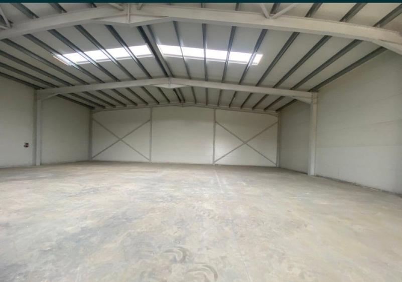 Spațiu industrial, de 590 mp, în Chiajna