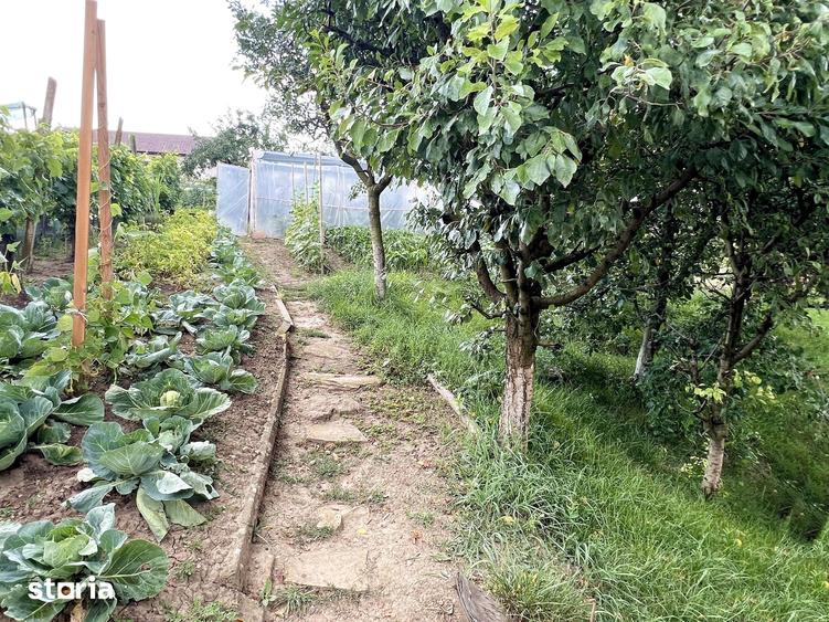 Casă cu 4 camere cu Teren 486 Mp în Șona