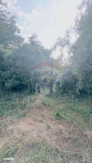Teren de 1170 mp, în Leamna de Jos