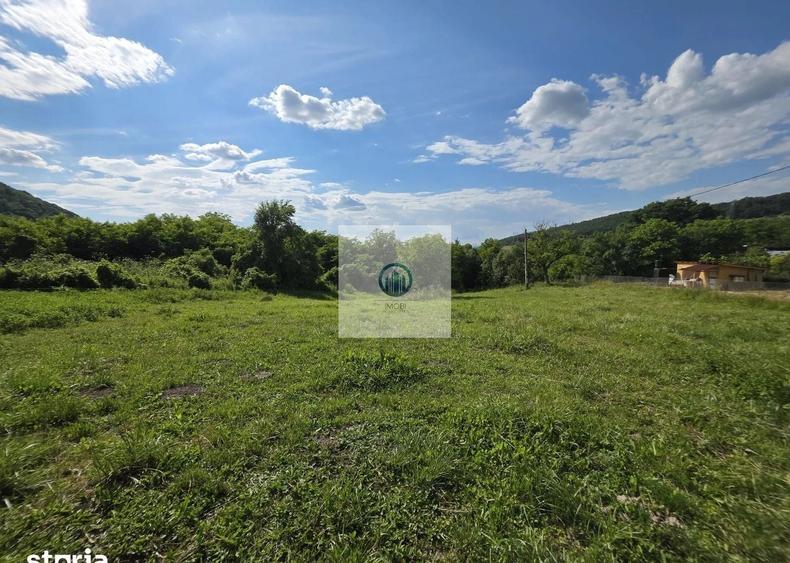 Teren agricol extravilan de 2340 mp, în Șoimuș