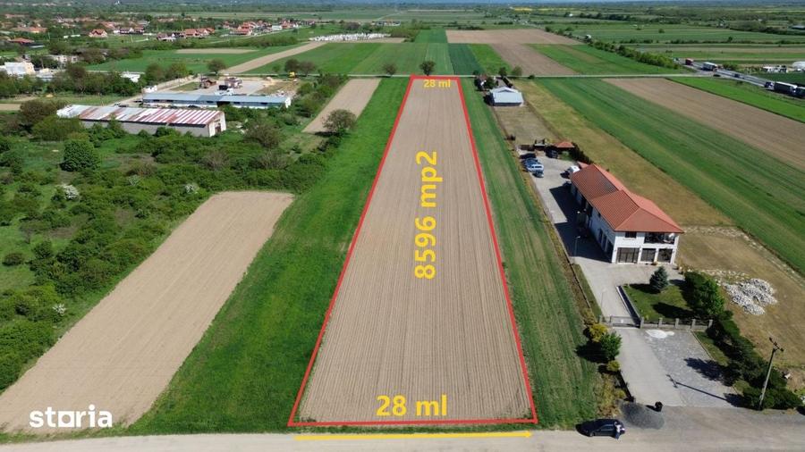 Teren de 8596 mp, în Gavojdia