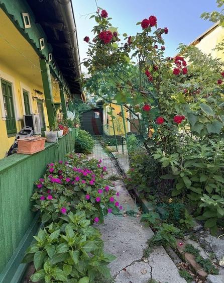Casă individuală cu 6 camere cu Canalizare în Brâncoveanu