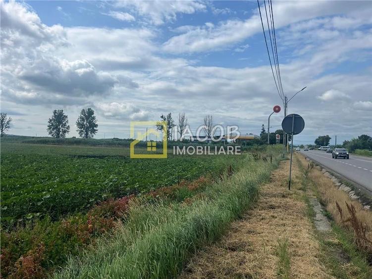 Teren Construcții intravilan de 8333 mp, în Secuienii Noi