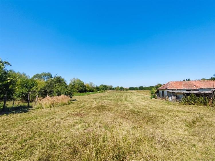 Teren Construcții intravilan de 2500 mp, în Paleu