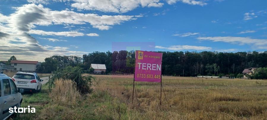 Teren de 11157 mp, în Tărtășești