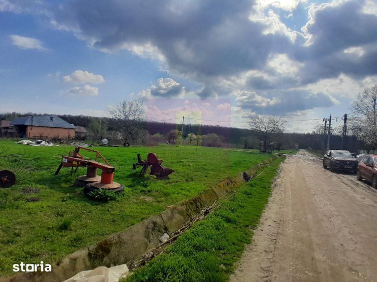Teren de 3400 mp, în Buturugeni
