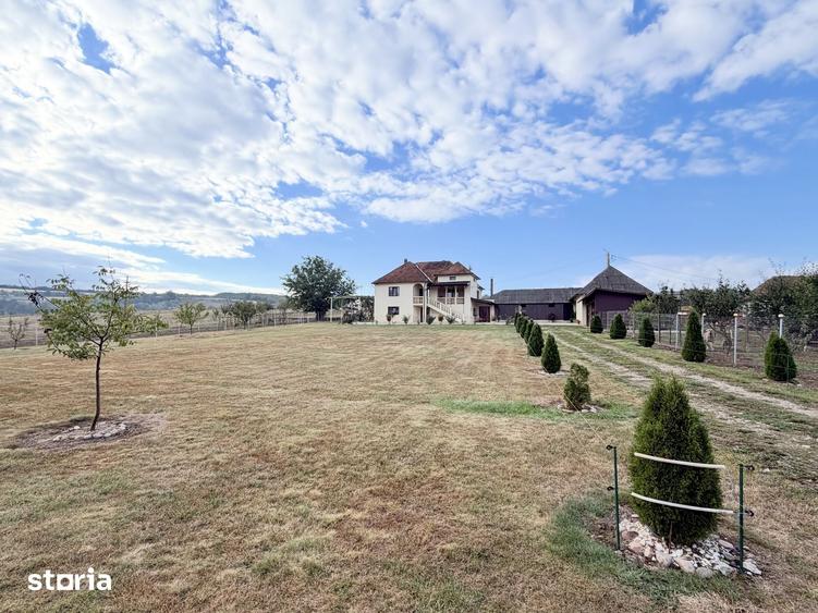 Casă cu 4 camere cu Teren 13000 Mp în Sâg