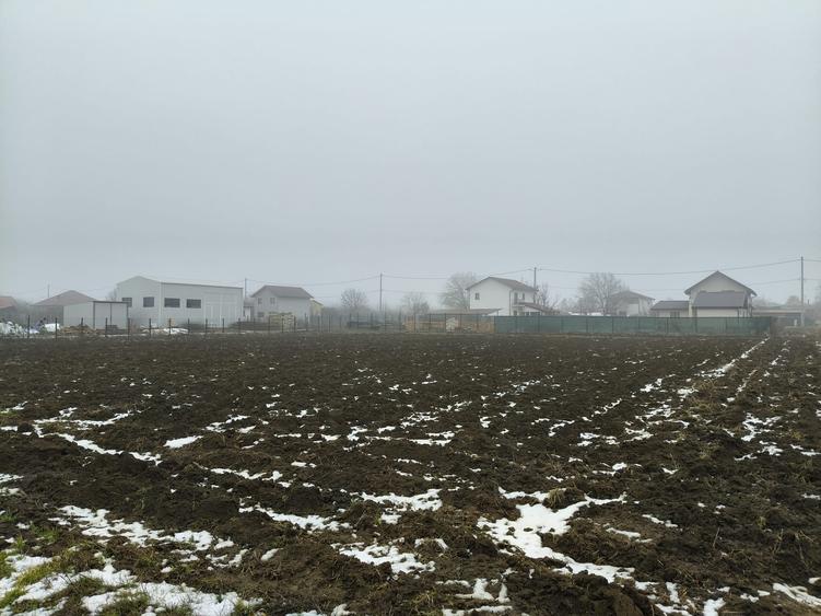 Teren Construcții intravilan de 1500 mp, în Moara Vlăsiei