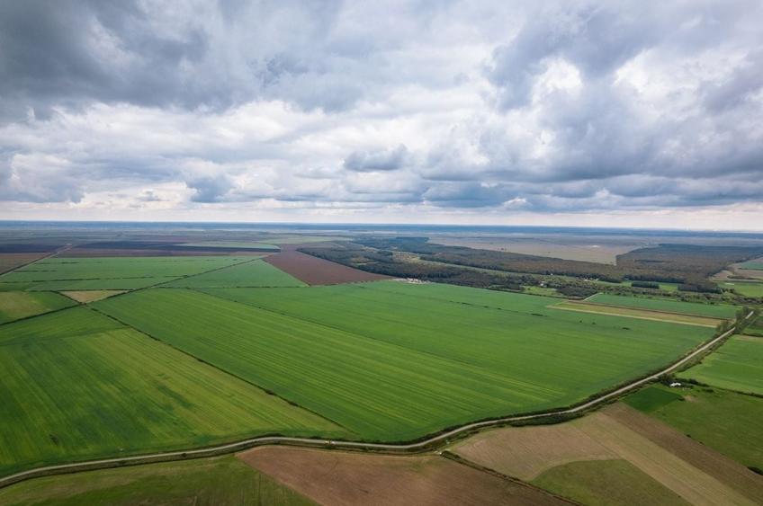 Teren agricol extravilan de 158435 mp, în Exterior Nord