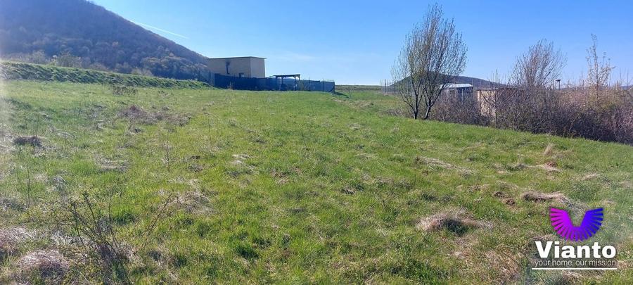 Teren agricol extravilan de 1500 mp, în Poplaca