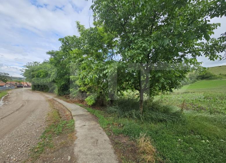 Teren Construcții intravilan de 4200 mp, în Sâncel