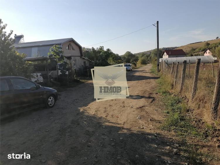 Teren intravilan 3500 mp zona Hamba - 3