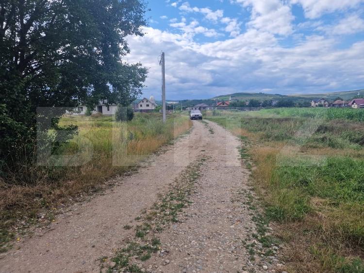 Teren Construcții intravilan de 4300 mp, în Livada (Iclod)