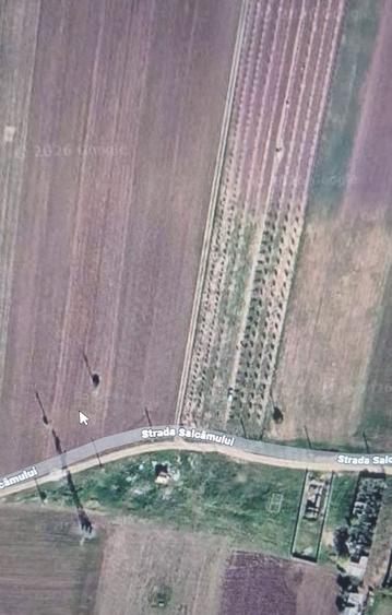 Teren de 6000 mp, în Sud