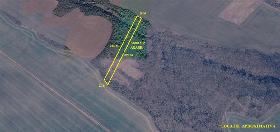 Teren agricol extravilan de 14500 mp, în Nicolinț