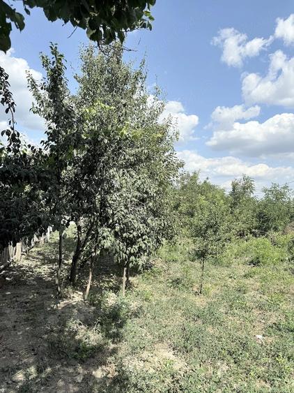 Teren de 521 mp, în Bălteni