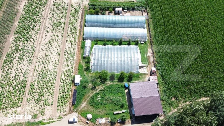 Teren extravilan 14.000 mp, Drambar Ciugud | solarii, fotovoltaice
