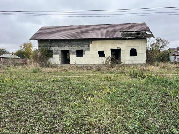 Spațiu comercial, în Borlești