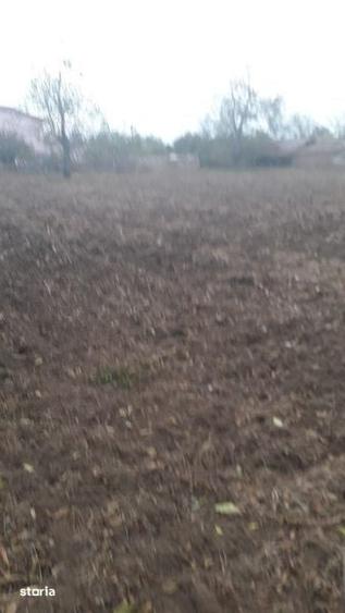 Teren de 3500 mp, în Nicolae Bălcescu