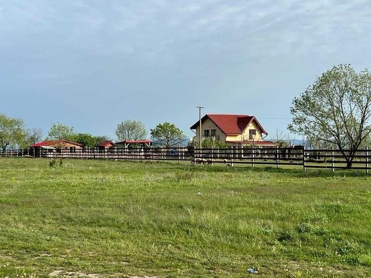 Casă cu 4 camere cu Teren 8000 Mp în Budila