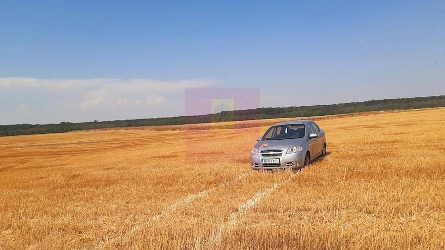 Teren de 2000 mp, în Brănești