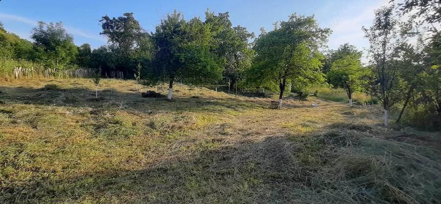 420mp sau 830mp in ?inutul Padurenilor , partea de sud-vest a jud. Hunedoara. - 10