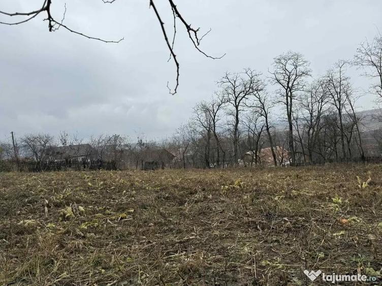 Teren de 2550 mp, în Rotunda