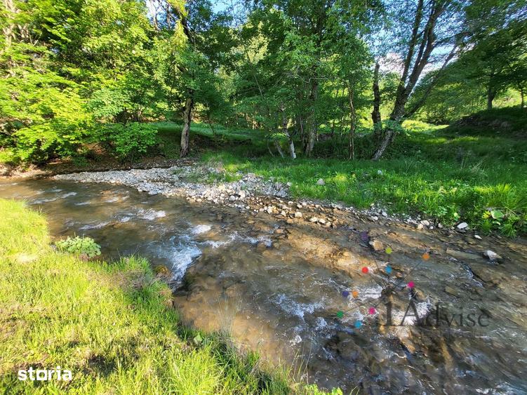 Teren de 12000 mp, în Vama Buzăului