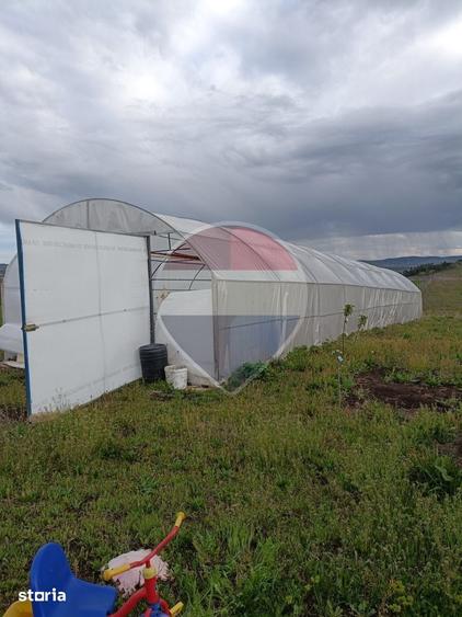 Teren de 4000 mp, în Vest