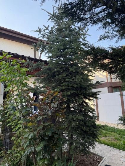 Casă individuală cu 5 camere cu Canalizare în Central