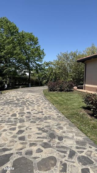 Casă cu 7 camere cu Teren 6700 Mp în Cernica