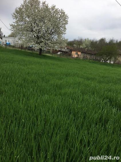 Casă cu 4 camere cu Teren 2300 Mp în Băneasa