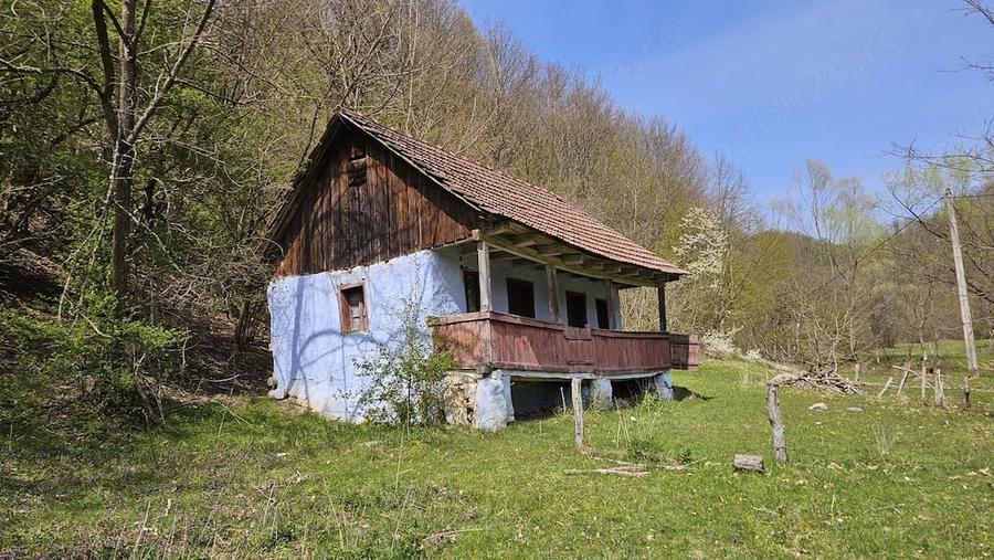 Casă cu Teren 7199 Mp în Valea