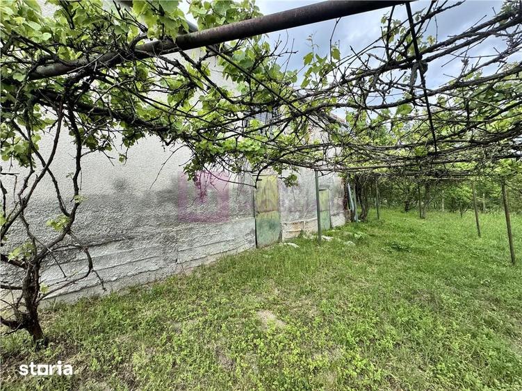 Casă cu 2 camere cu Teren 1526 Mp în Nucet