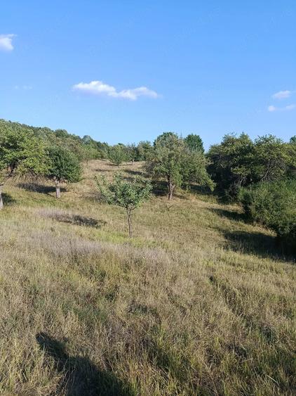 Vand teren la Tigveni aproape de nodul rutier A1 - 9