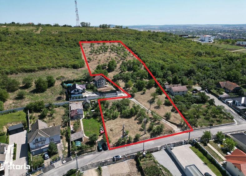 1.4 HA INTRAVILAN - Str. Sofiei - Nymphaea - IMOBIHOR - 8