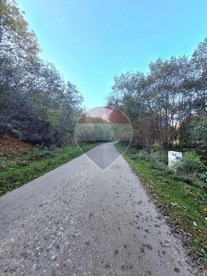 Teren agricol extravilan de 3981 mp, în Plaiul Foii