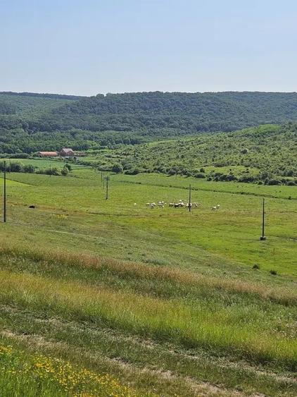 Teren de 7200.2 mp, în Crețești