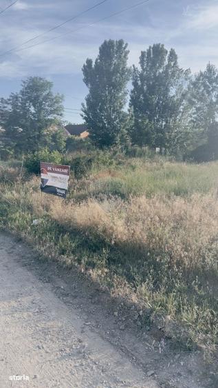 Spațiu comercial, în Albești
