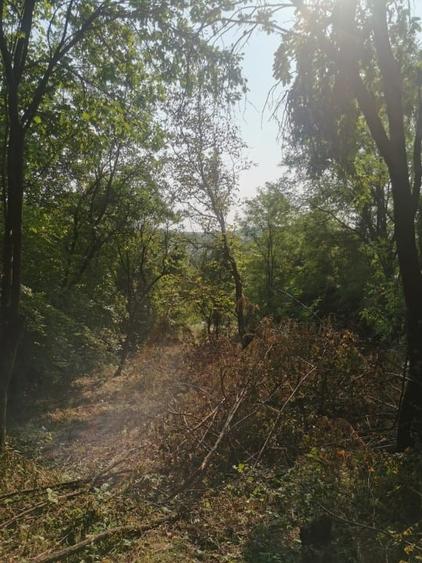 Teren intravilan de 1475 mp, în Central