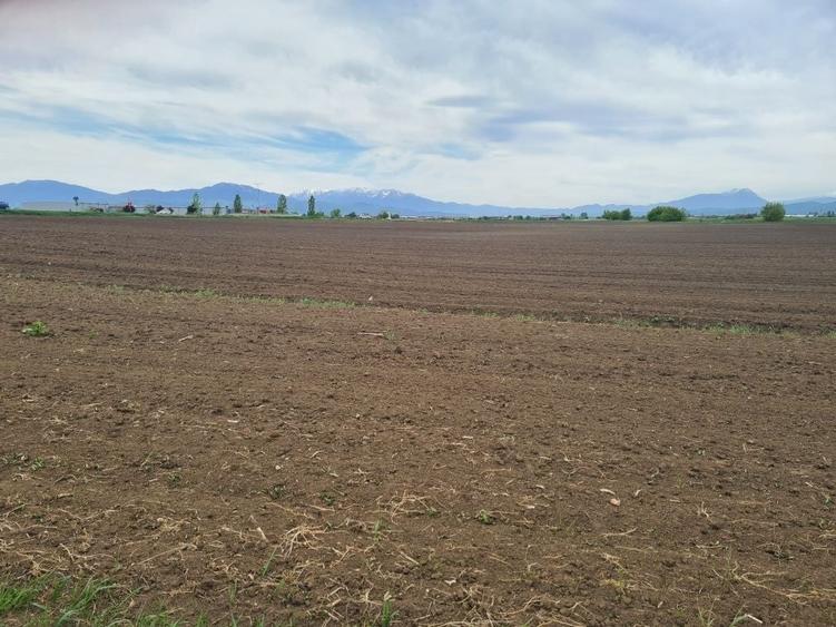 Teren Agricol 5000mp - 2