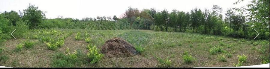 Teren agricol intravilan de 6890 mp, în Crasna