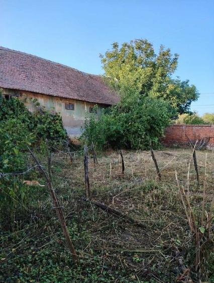 Casă cu 3 camere în Pădureni