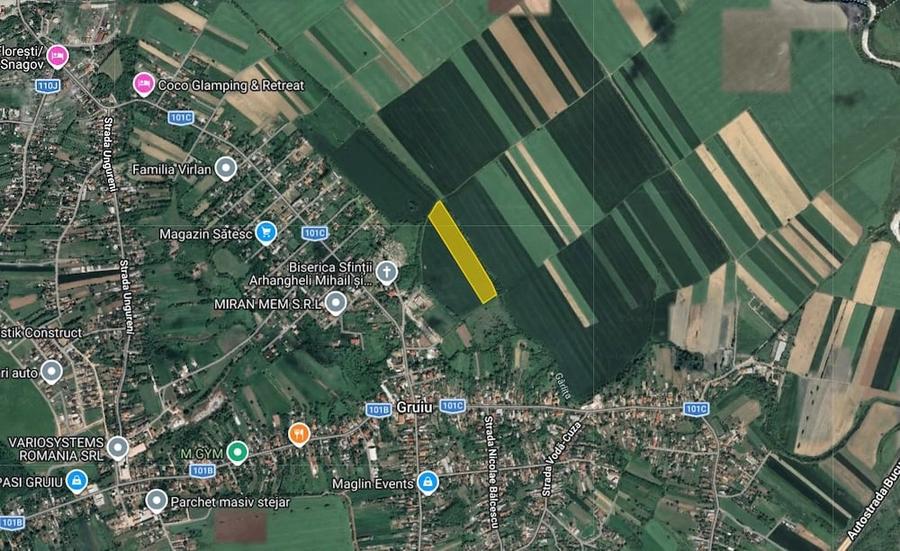 Teren de 25000 mp, în Gruiu