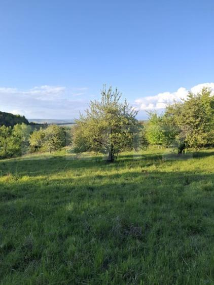 Teren extravilan de vanzare, 10.000 mp, in Valea Zizinului - 4