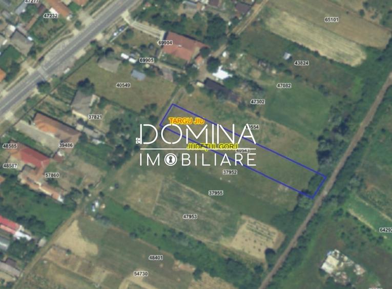 Teren Construcții intravilan de 4991 mp, în Iezureni