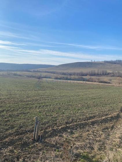 Teren agricol extravilan de 3900 mp, în Mierlău