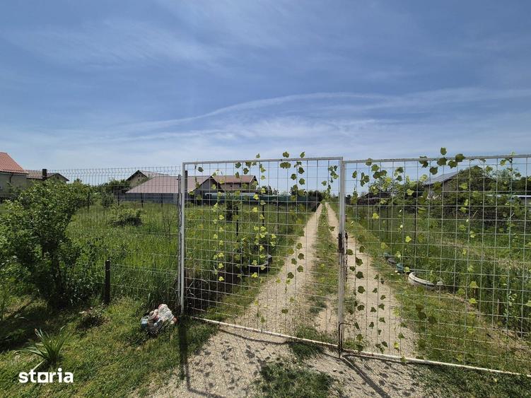 Mihailesti, vanzare vila P+M, 258mp, teren 912mp. - 14