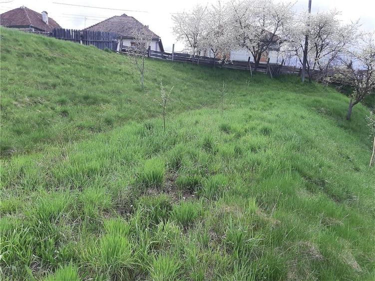 Teren de 1017 mp, în Arpașu de Sus