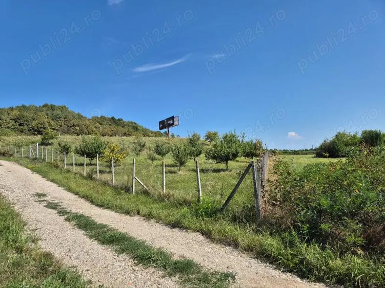 Teren de 12300 mp, în Crainimăt